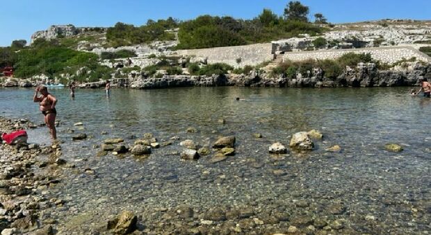 Porto Badisco, divieto di balneazione per l'alga tossica