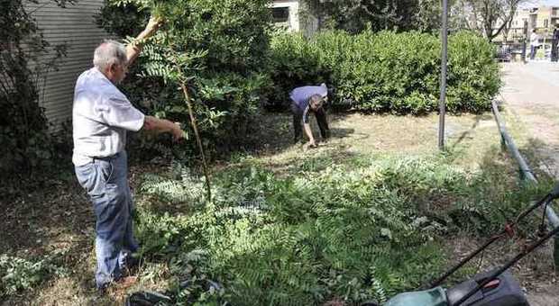 Acilia, scuola invasa dalle erbacce Nonni-giardinieri si sostituiscono al Comune