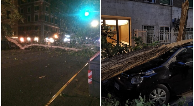 Maltempo, alberi crollati e danni dai Parioli a Torrevecchia: l'incuria del Campidoglio
