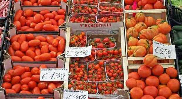 Sostegno alla filiera e al made in Italy: il mercato del pomodoro pronto al rilancio