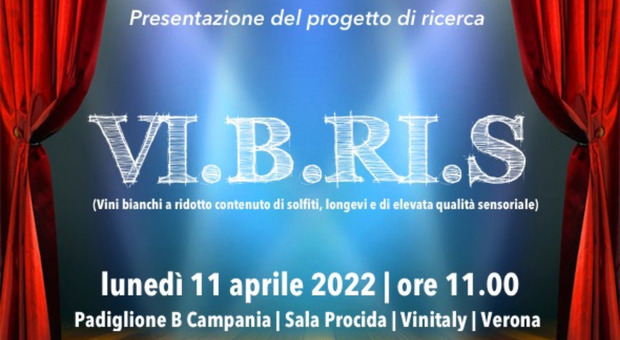 Al Vinitaly approda Vibris, progetto sperimentale della Costa d'Amalfi