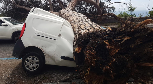 Il furgone distrutto dal pino a Posillipo