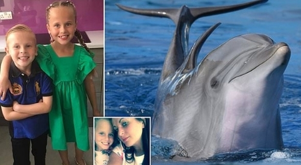 Bambina attaccata e trascinata sott'acqua da due delfini. «Era in vacanza con la famiglia»