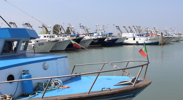 La flotta peschereccia attraccata nel porto di Pila