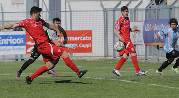 L'Anconitana vince, le basta l'1-0 Con il Marotta segna la Vipera