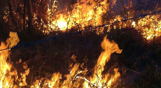 I boschi dell'Irpinia tornano a bruciare: fiamme a Montoro