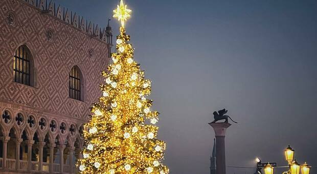 Acceso il grande albero di Natale in Piazza San Marco