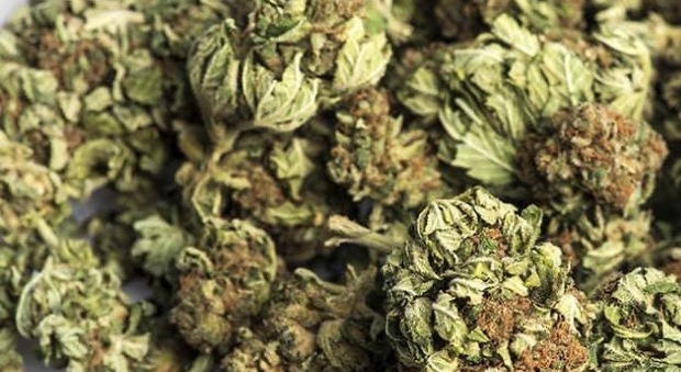 Marijuana e oltre 6mila euro in contanti: spacciatore in manette