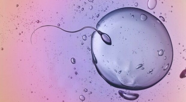 Infertilià maschile, la seconda eiaculazione migliora le possiblità di una gravidanza: lo rivela una ricerca dell'Università di Catania