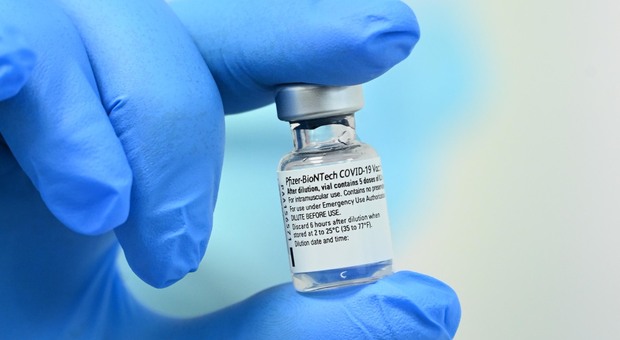 Vaccino Pfizer bloccato, D'Amato ammette: «Preoccupato, piano vaccinazioni dimezzato»