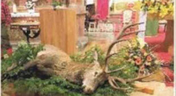 Cervo ucciso in chiesa per festeggiare il santo e la caccia: animalisti furiosi