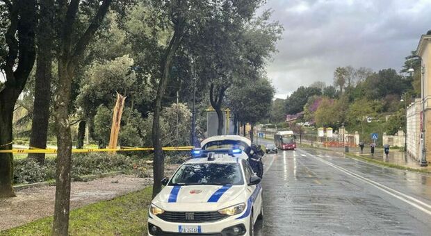 Roma, investito da auto a Villa Borghese: morto un medico di 37 anni. Alla guida un romeno di 26 anni positivo all'alcol test