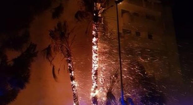 Vanno a fuoco le palme, fiamme sui balconi: paura nel condominio