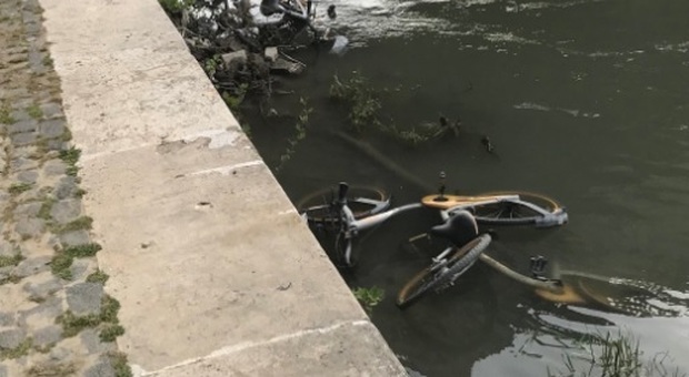 Bici gialle gettate nel Tevere, a processo vandali del bike sharing