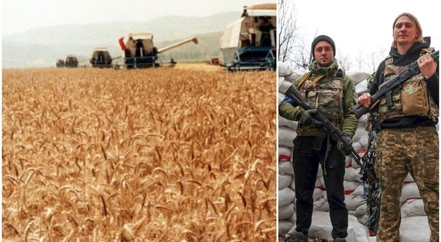 La prossima guerra sarà alimentare? Da Russia e Ucraina 1/3 del grano