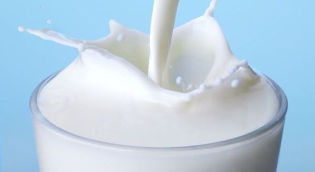 «Stop ai formaggi 'tipici' prodotti con latte estero, Renzi e Zaia attivatevi»