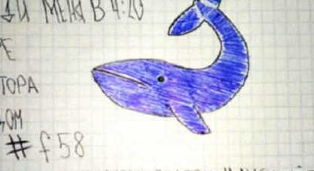 Blue Whale, tredicenne salvata dalle amiche. «Frasi choc su Instagram». Coinvolti 30 adolescenti, torna l'incubo