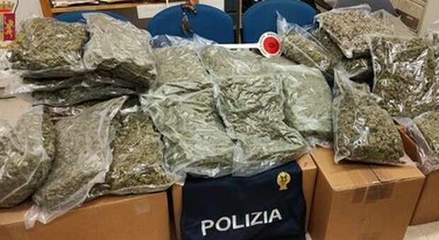 Maxi sequestro di droga: trovati 270 chili di cocaina fra Bologna e Vicenza, arrestati 3 dominicani e un 68enne italiano