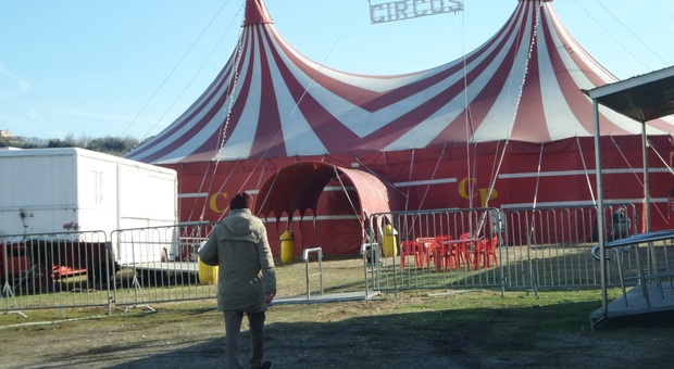 Falconara, fioccano multe: il circo se ne va senza neanche uno show