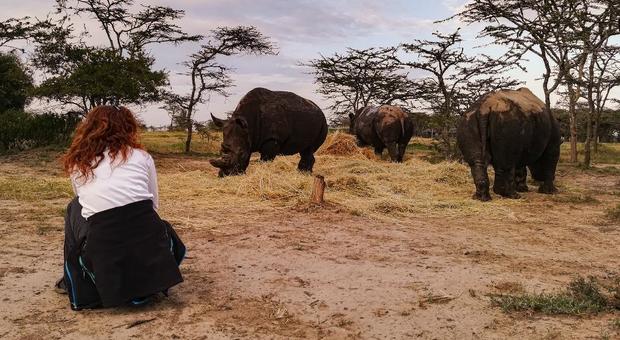 Barbara, la donna che parla con i rinoceronti e salva dall'estinzione la specie "bianca"