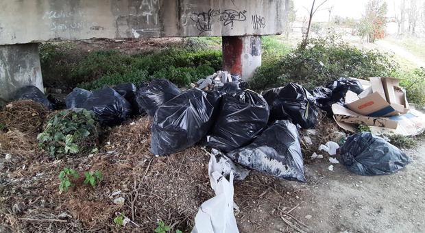 Discarica abusiva sotto il ponte San Carlo: distesa di sacchi neri con rifiuti di ogni tipo