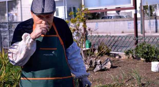 82 anni, fa il giardiniere volontario per amore di Napoli: «È la città più bella del mondo»