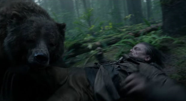 L'orso e DiCaprio