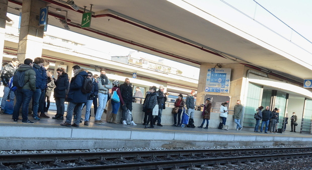 Treno investe un cinghiale forti ritardi sulla linea Padova-Bologna