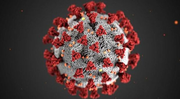 Covid19, Lattoferrina: nuovi dati confermano efficacia della molecola nel contenere effetti virus