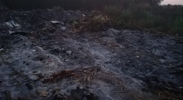 Brucia rifiuti nel parco Vesuvio, denunciato dai carabinieri forestali
