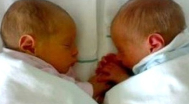 Scambio di embrioni, il padre naturale dei gemelli all'altra coppia: «Vediamoci». La risposta: «Per il momento non è il caso»
