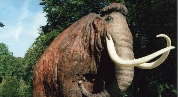 «Il mammut salverà la Terra» E i genetisti lo ricreano in laboratorio per combattere il riscaldamento globale