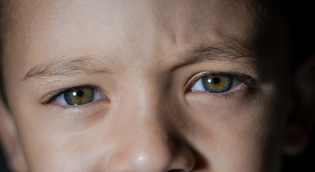 Trapianto cornea: i bambini che tornano a vedere grazie ai donatori. In Veneto c'è la banca degli occhi: come funziona
