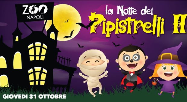 Lo Zoo di Napoli festeggia Halloween con “La Notte dei Pipistrelli 2.0”