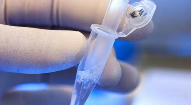 Malattie rare, una terapia genica contro la mucopolisaccaridosi di tipo 6: positivio il primo test nell’uomo