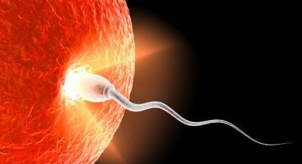 Far nascere bambini senza ovuli: bebè senza mamma, presto possibile