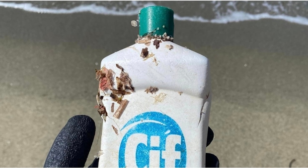 Flacone di detersivo alla deriva in mare per 40 anni, recuperato in una spiaggia di Ischia