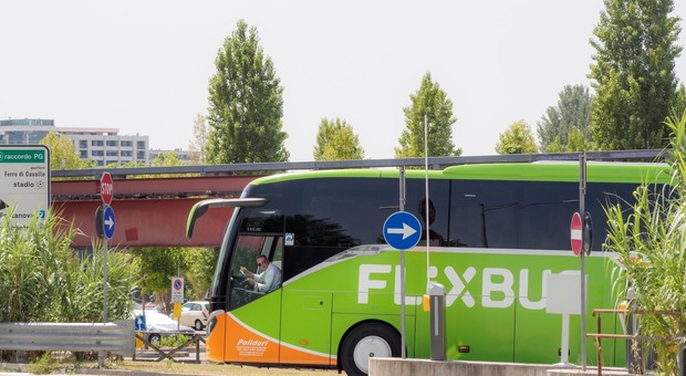 Flixbus, la start up che ha conquistato l'Europa con prezzi low cost e wi-fi gratis