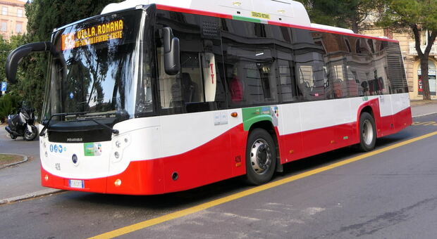 Conerobus: un biglietto ogni cinque passeggeri, tre ore e mezzo sul bus e nemmeno un controllore