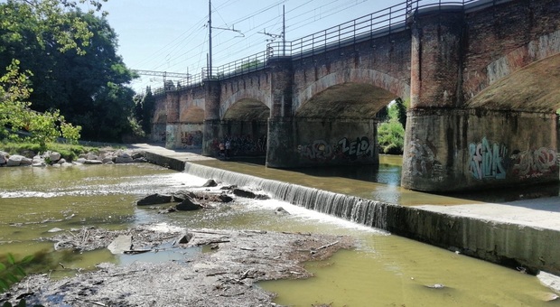 Pesaro, rifiuti e plastica in mare dopo la pulizia del ponte: «Ferrovie chiarisca»