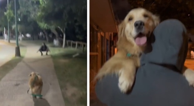 Passeggia col cane e incontra l'ex fidanzato, la reazione del cucciolo la spiazza: «Neanche Giuda ha osato tanto»