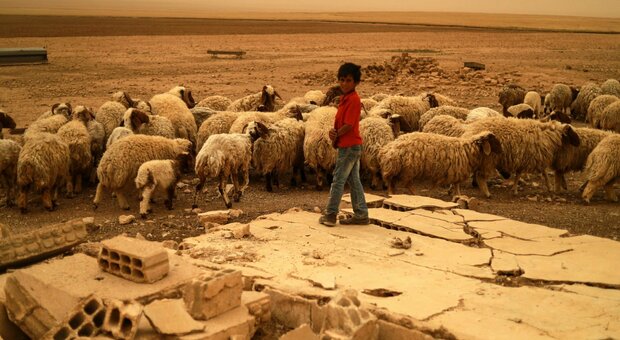 L'allarme della Fao: «Imminente crisi alimentare, peggio della Primavera araba. In 750mila a rischio morte»
