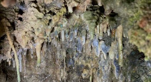 Minuscola grotta di stalattiti e stalagmiti, una "Frasassi" in miniatura nelle campagne dell'Orvietano