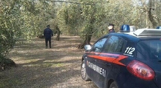 Cadavere trovato carbonizzato: giallo a Giffoni Valle Piana
