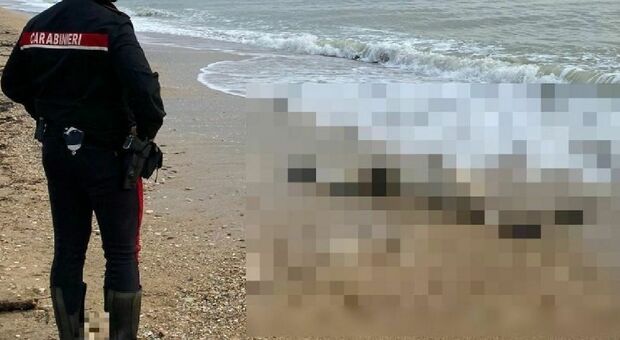 Cadavere in spiaggia a Marina di Vecchiano: «Morto da oltre un mese». Il corpo trovato da una donna a passeggio col cane