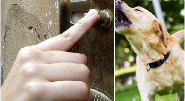 Si attacca al campanello e perseguita il portiere a Roma: «Il tuo cane fa troppo rumore». Condannato per stalking