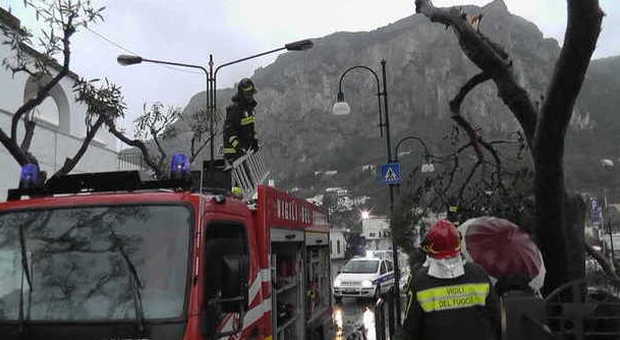 Bufera di vento a Capri: alberi divelti, interventi dei vigili del fuoco