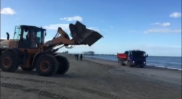 Senigallia: operazione pulizia la spiaggia di velluto si rifà il trucco