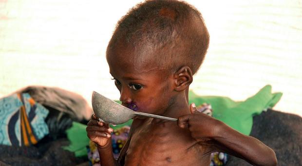Nel mondo 821 milioni di persone stanno morendo di fame