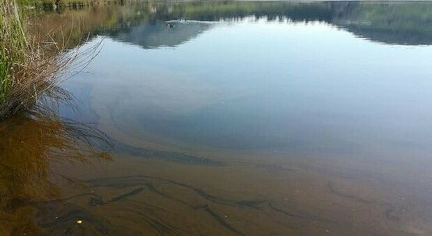 Il Lago d'Averno si colora di ruggine: «Un'alga potrebbe averlo infestato»